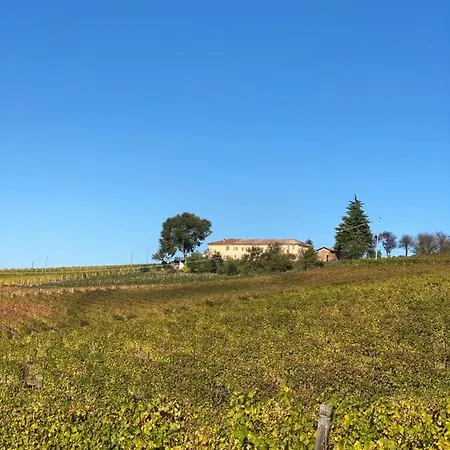 Bed and breakfast Allegro
