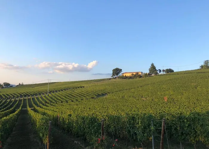 Bed & Breakfast Allegro 4*